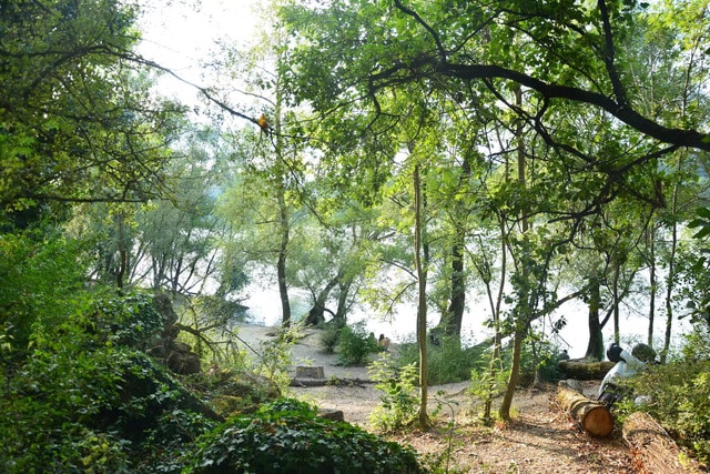 Parc de la Feyssine à Villeurbanne, proche de Lyon